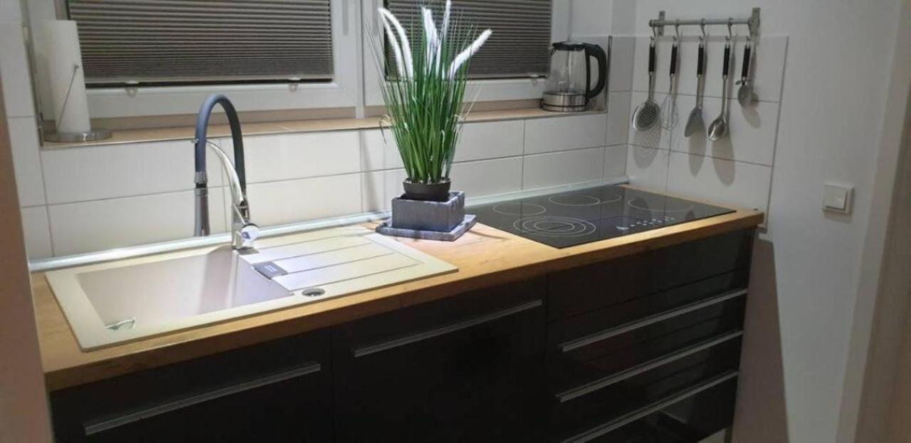 Schicke Ferienwohnung Mit Harzblick Fuer 1-2 Oder 1-4 Personen 戈斯拉尔 外观 照片